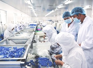 suncitygroup太阳集团(中国)-官方网站